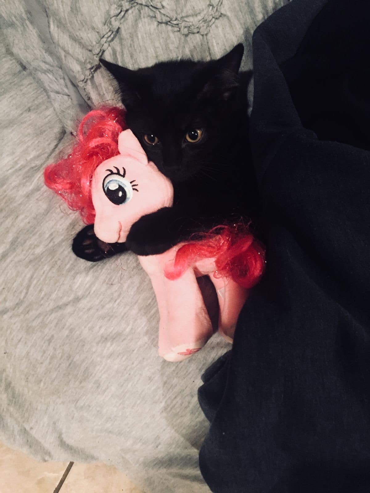 Анастасия Долбилина — Во! стиле